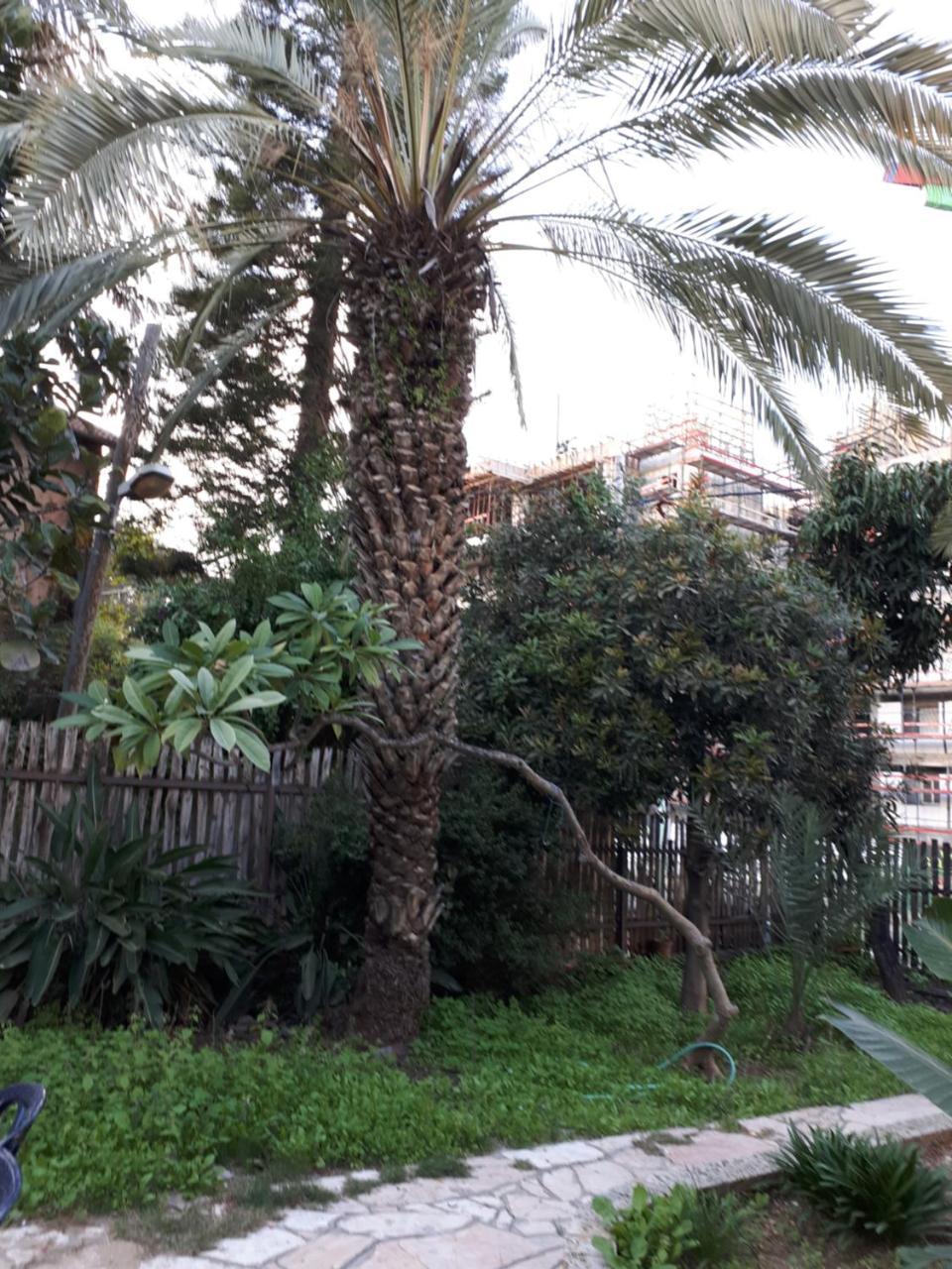 Отель Etty'S House Petach Tikva Экстерьер фото